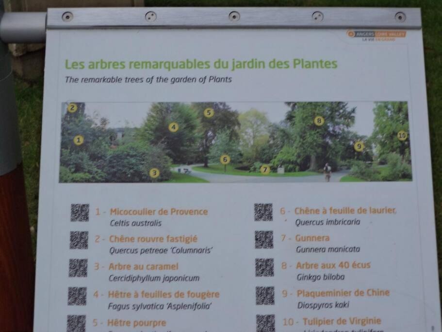 Apartamento Le Grey-Jardin Des Plantes-Centre Des Congres Angers Exterior foto